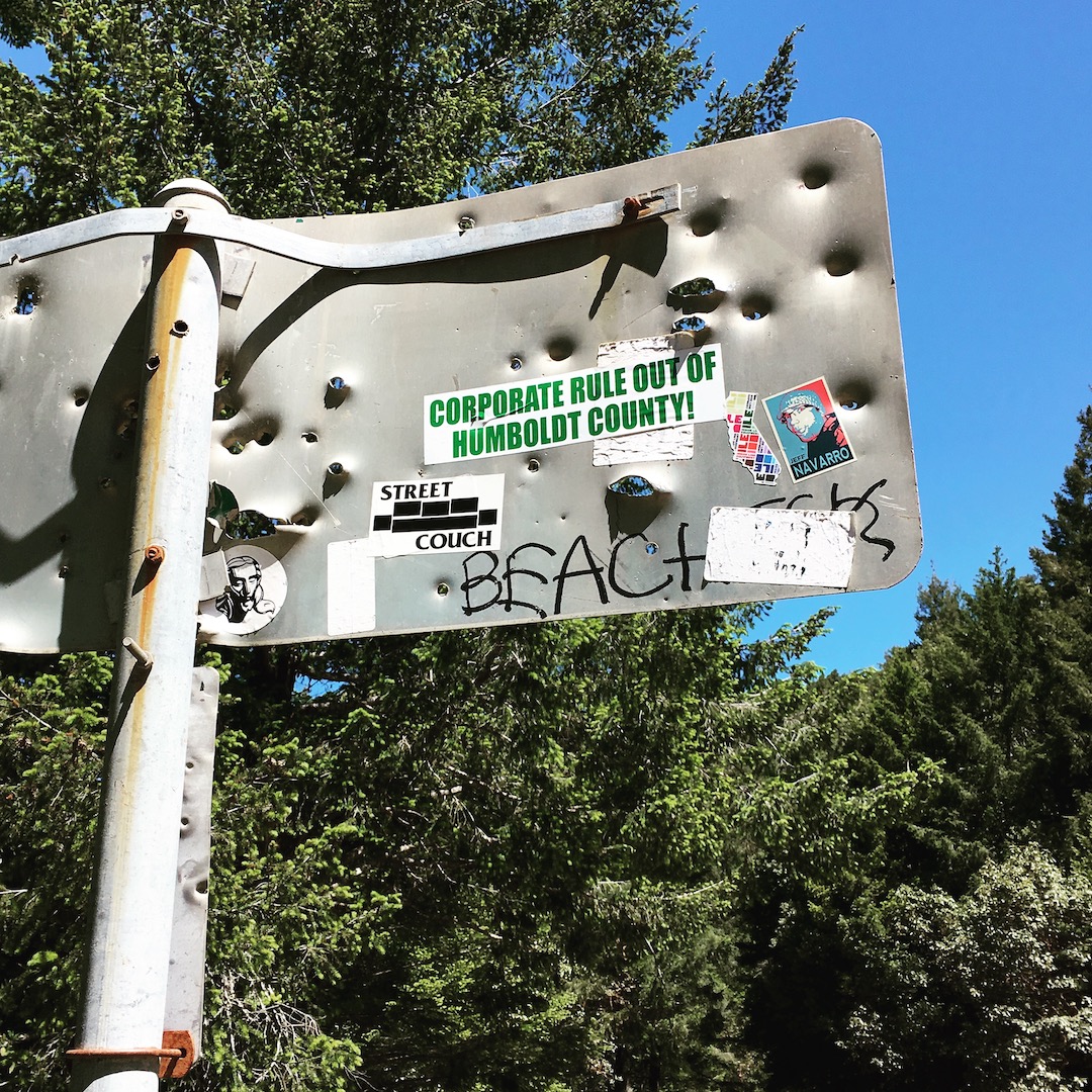 street couch sticker  on the back of a bullet-ridden sign in humboldt county